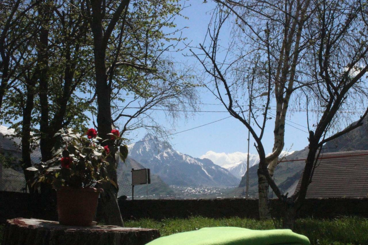 Gio-Nika Hotel Kazbegi Kültér fotó
