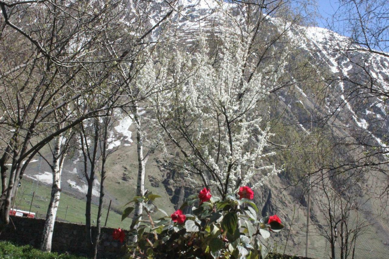 Gio-Nika Hotel Kazbegi Kültér fotó
